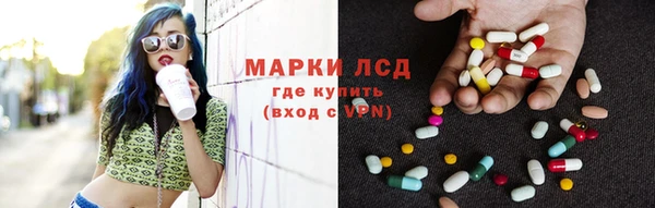 индика Богородицк