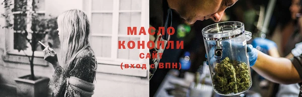 индика Богородицк