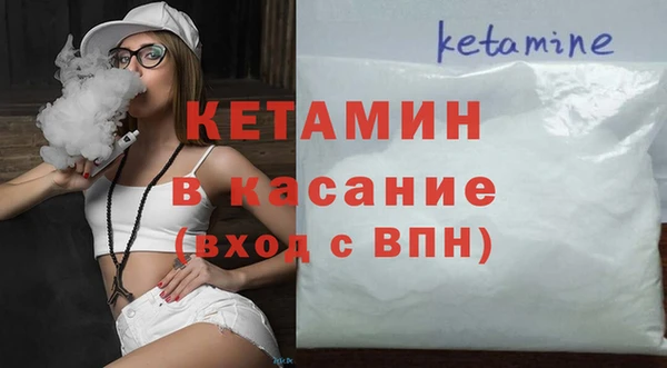 индика Богородицк