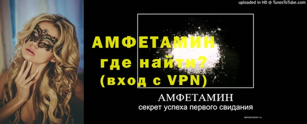 индика Богородицк