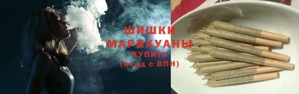стаф Бронницы