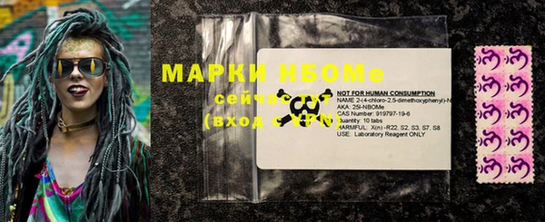 индика Богородицк