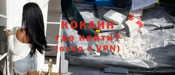 индика Богородицк