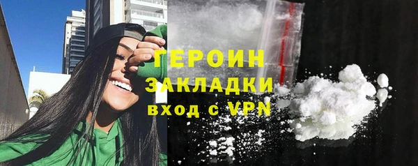 индика Богородицк
