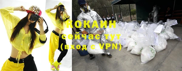 крисы Куйбышев