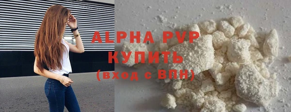 индика Богородицк