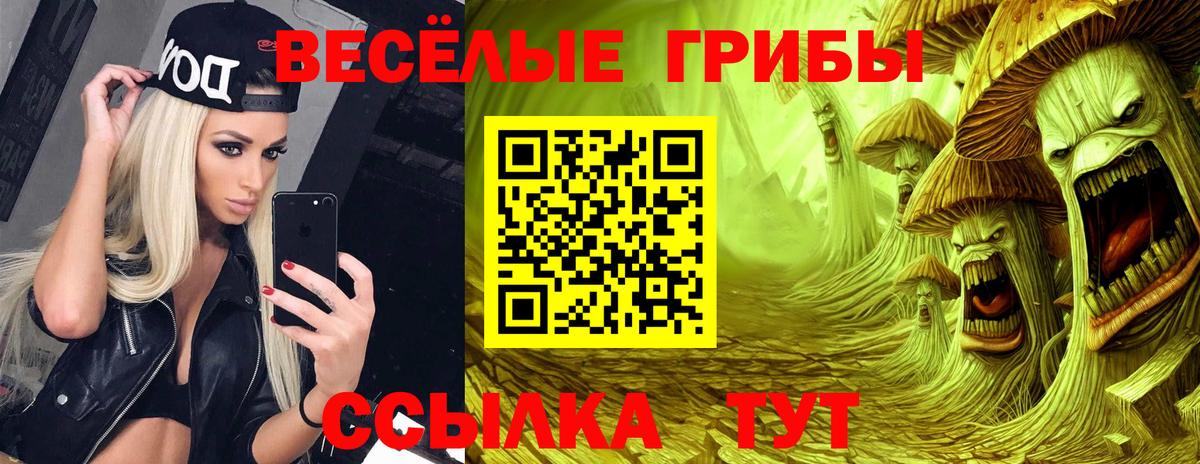 сколько стоит  Галлюциногенные грибы Magic Shrooms  Псилоцибиновые грибы Magic Shrooms  Вход с VPN  Городец 